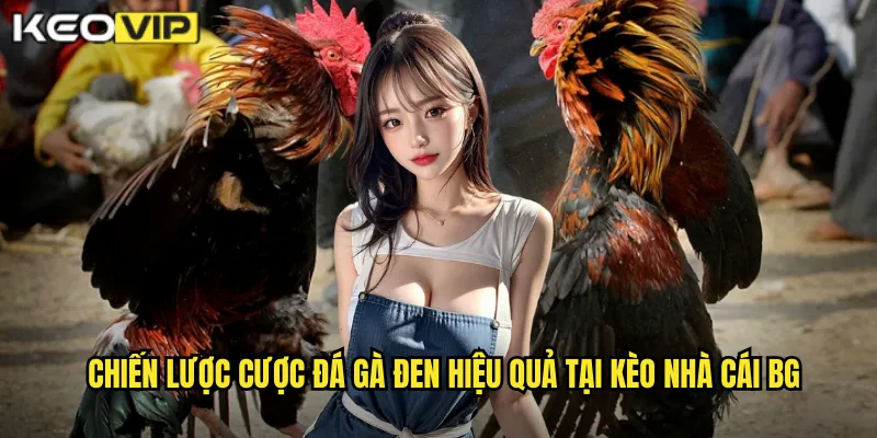 Chiến lược cược đá gà đen hiệu quả tại kèo nhà cái bg