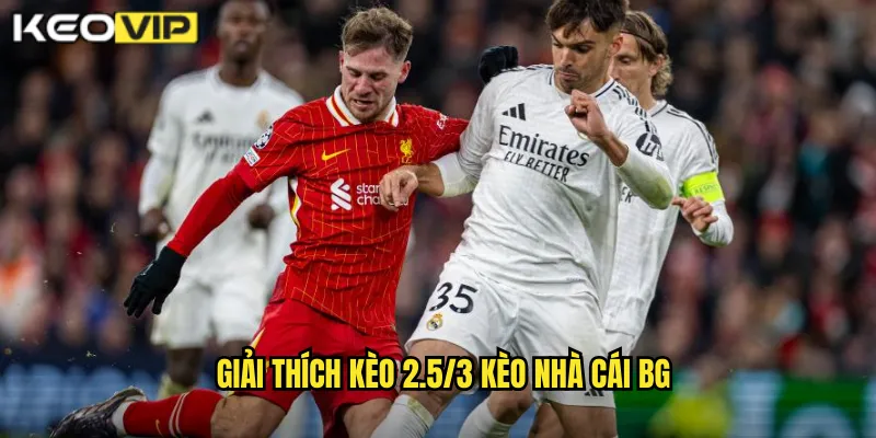 Giải thích kèo 2.5/3 kèo nhà cái bg