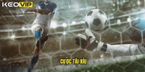cược tài xỉu