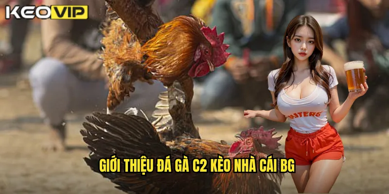 Giới thiệu đá gà c2 kèo nhà cái bg